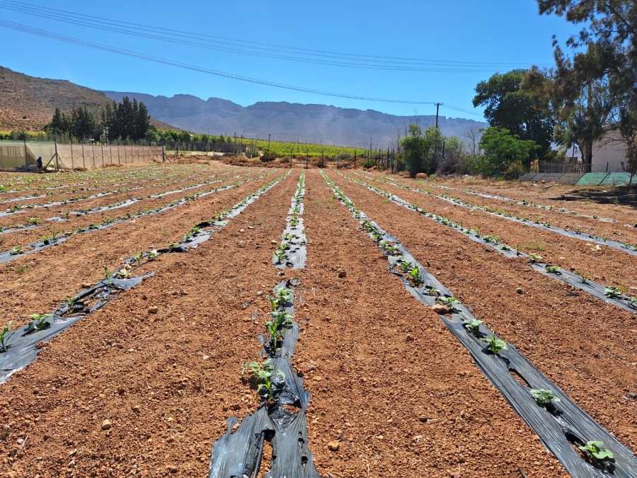 3 Bedroom Property for Sale in Klawer Western Cape